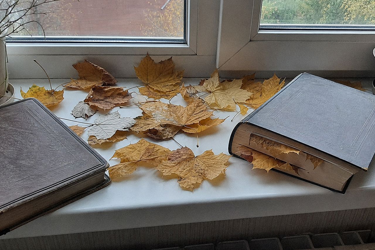 Осенние листья клёна и берёзы на подоконнике и между страниц толстой книги