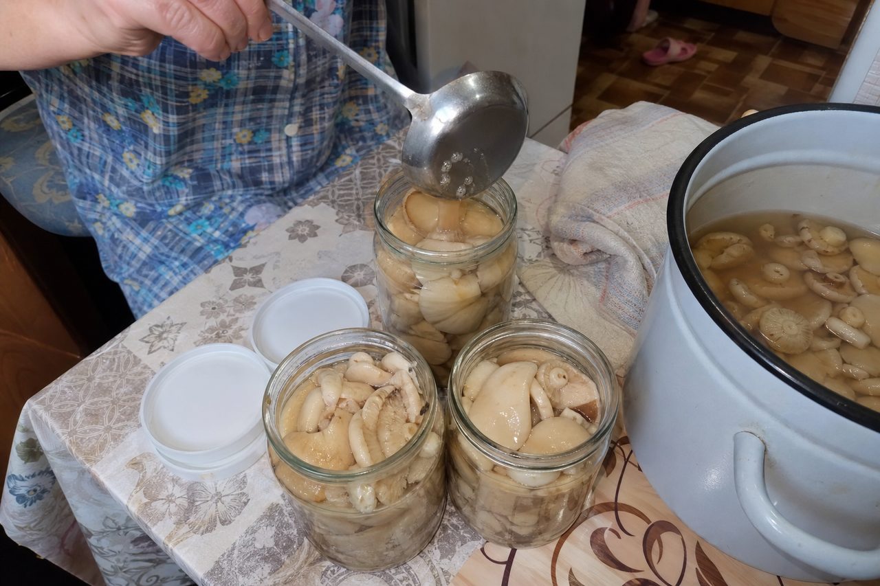 Банки с солёными груздями на кухонном столе, одну доливают рассолом из половника, рядом пластиковые крышки
